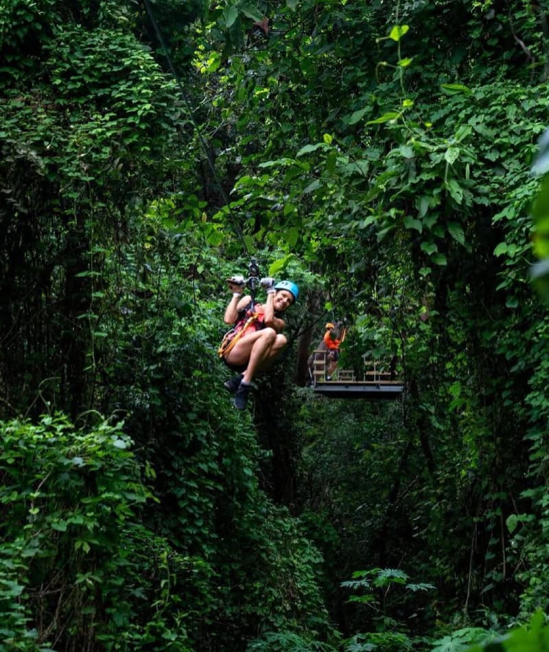 Soar Through the Canopy with Zipline Tours Soar Through the Canopy with Zipline Tours