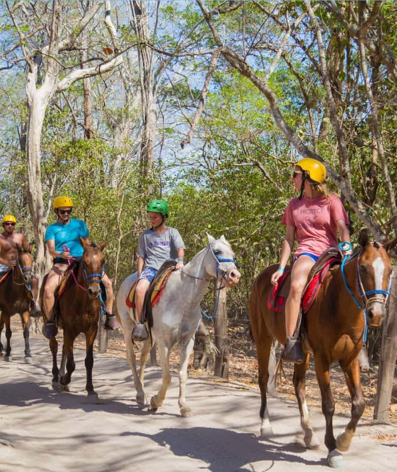 A Family-Friendly Adventure Prime Locations for Every Tour