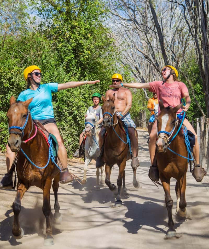 Exploring the Lush Forests Charming Towns and Local Wildlife Encounters